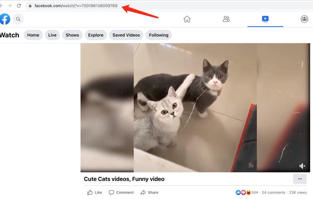 how to use VideoAnt step 1